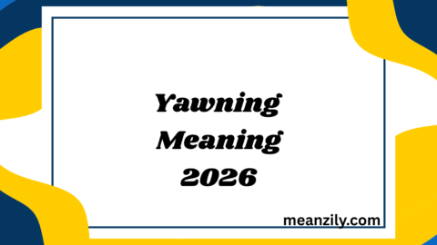 Yawning Meaning