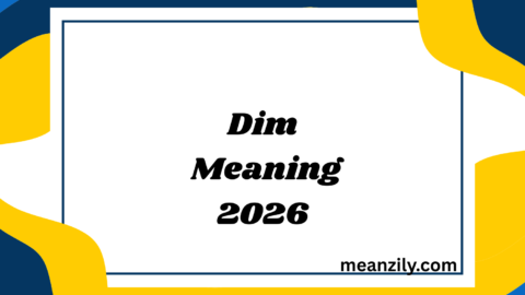 Dim Meaning