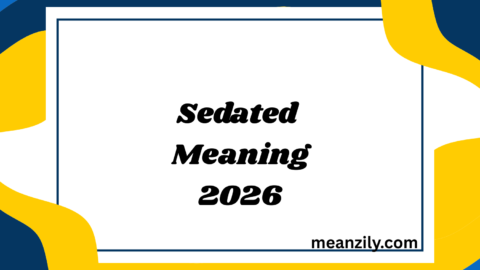 Sedated Meaning