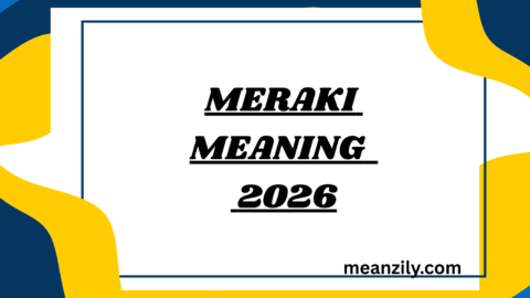 Meraki Meaning