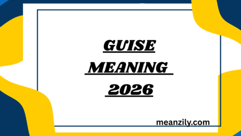 Guise Meaning