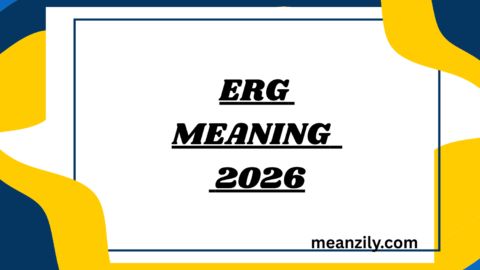 Erg Meaning