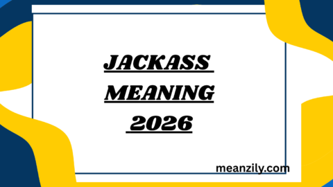Jackass Meaning