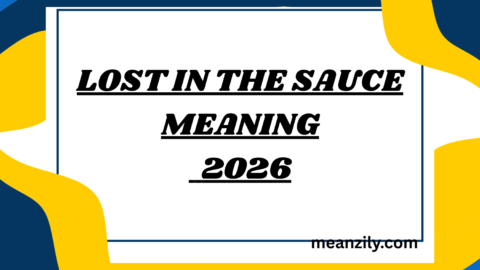 Lost in the Sauce meaning