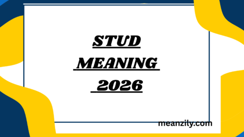 Stud Meaning