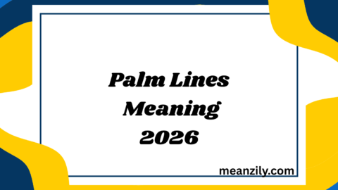 Palm Lines Meaning