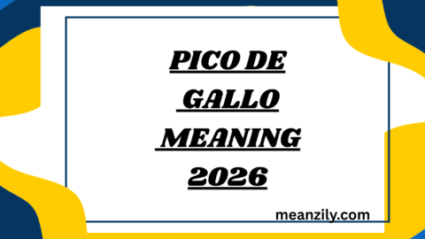 Pico de Gallo Meaning