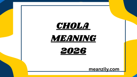 Chola Meaning
