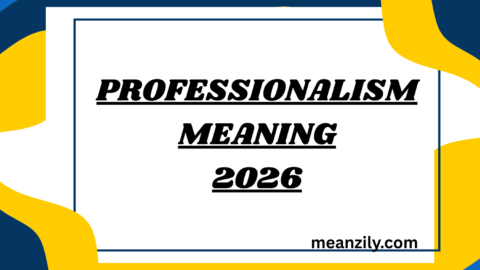Professionalism Meaning