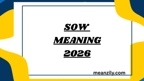 SOW Meaning