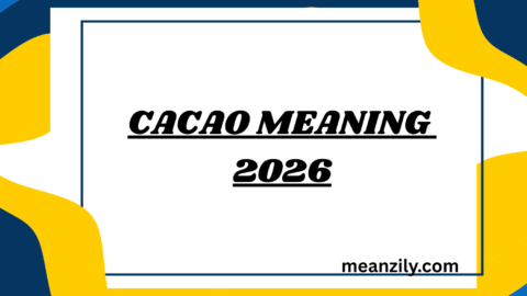 Cacao Meaning
