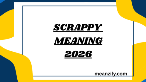Scrappy Meaning