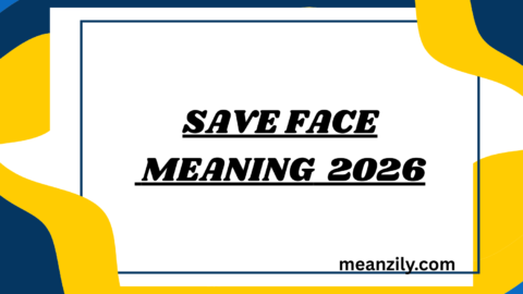Save Face Meaning
