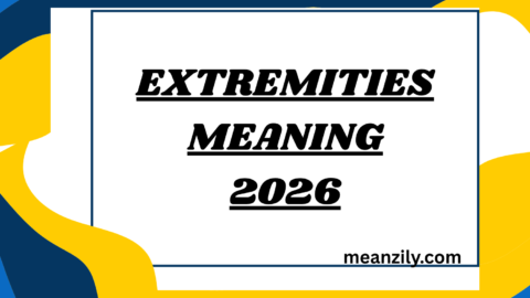 Extremities Meaning