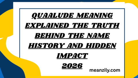 Quaalude Meaning Explained The Truth Behind the Name History and Hidden Impact