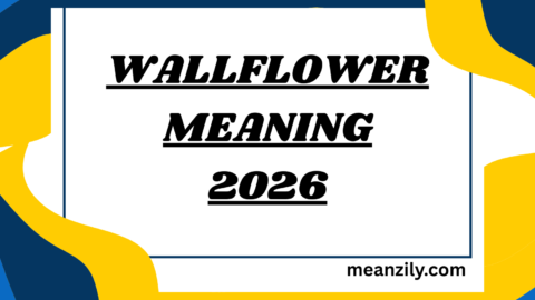 Wallflower Meaning