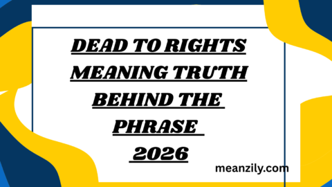 Dead to Rights Meaning Truth Behind the Phrase