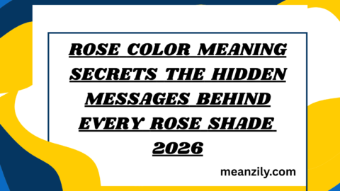 Rose Color Meaning Secrets The Hidden Messages Behind Every Rose Shade