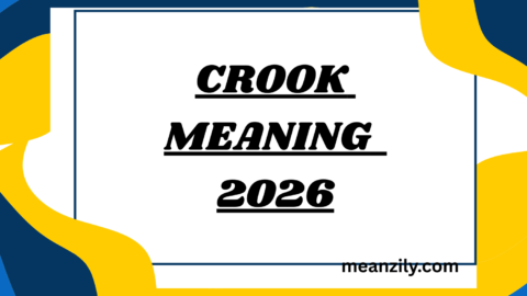 Crook Meaning