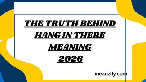 The Truth Behind Hang in There Meaning