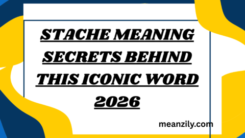 Stache Meaning Secrets Behind This Iconic Word