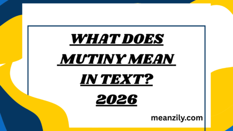 What Does Mutiny Mean in Text?