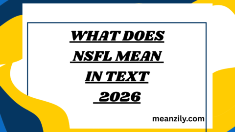 What Does NSFL Mean in Text