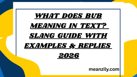 What Does Bub Meaning in Text? Slang Guide with Examples & Replies