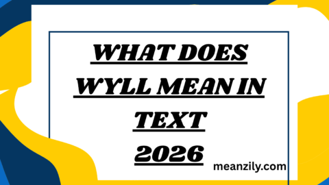 What Does Wyll Mean in Text