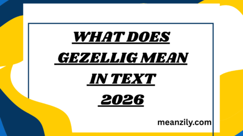 What Does Gezellig Mean in Text
