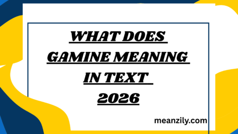 What Does Gamine Meaning in Text
