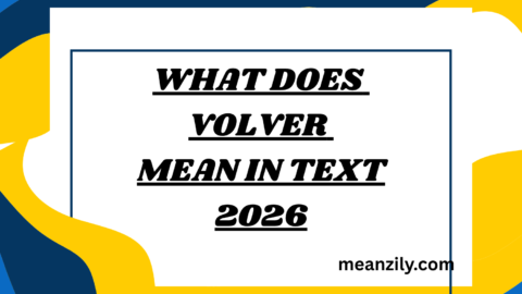 What Does Volver Mean in Text