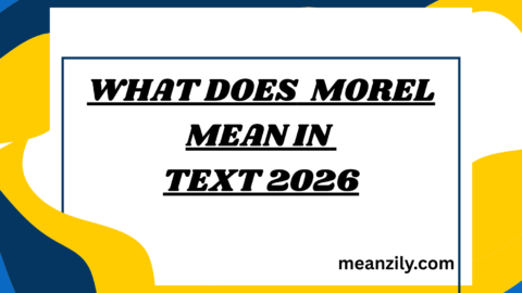 What Does Morel Mean in Text