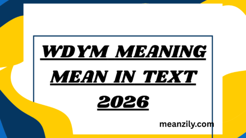 WDYM Meaning Mean in Text