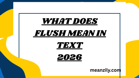 What Does Flush Mean in Text
