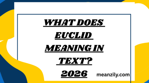 What Does Euclid Meaning in Text?
