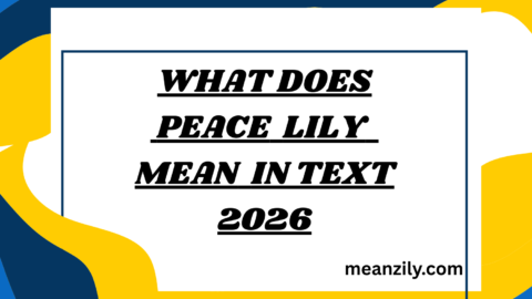 What Does Peace Lily Mean in Text
