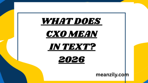 What Does CXO Mean in Text?