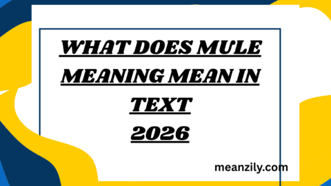 What Does Mule Meaning Mean in Text