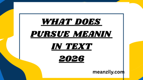 What Does Pursue Meaning in Text
