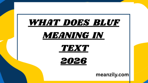 What Does Bluf Meaning in Text