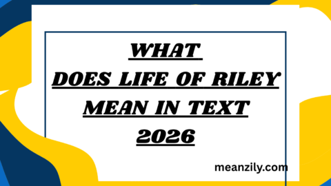 What Does Life of Riley Mean in Text