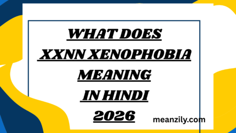 What Does xxnn xenophobia meaning in hindi dictionary Mean in Text