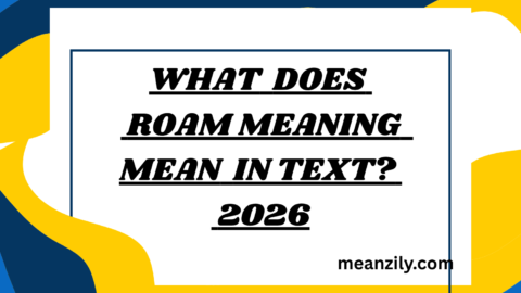 What Does ROAM Meaning Mean in Text?