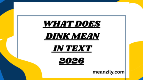 What Does DINK Mean in Text