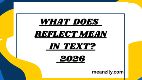 What Does Reflect Mean in Text?