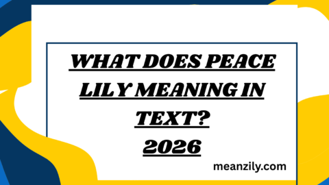 What Does Peace Lily Meaning in Text?