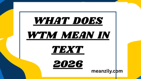 What Does WTM Mean in Text