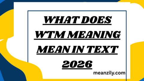 What Does WTM Meaning Mean in Text