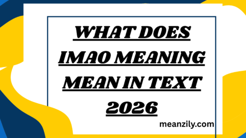 What Does IMAO Meaning Mean in Text
